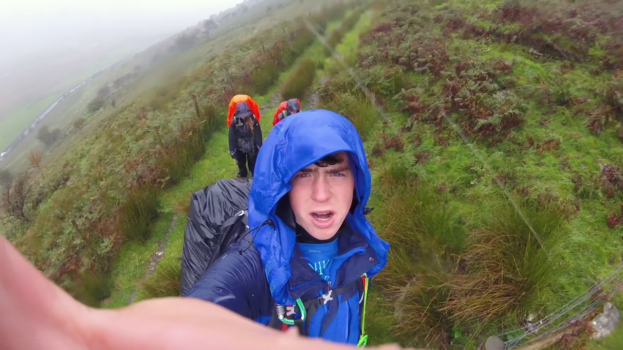 Gold Dofe Wales - snowdonia