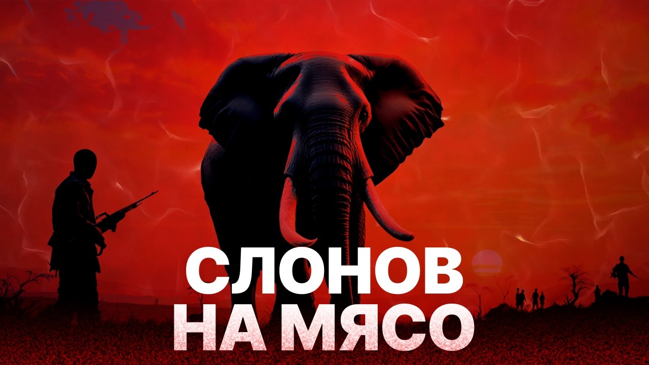 Война за землю: люди против слонов / Большой фильм из Африки