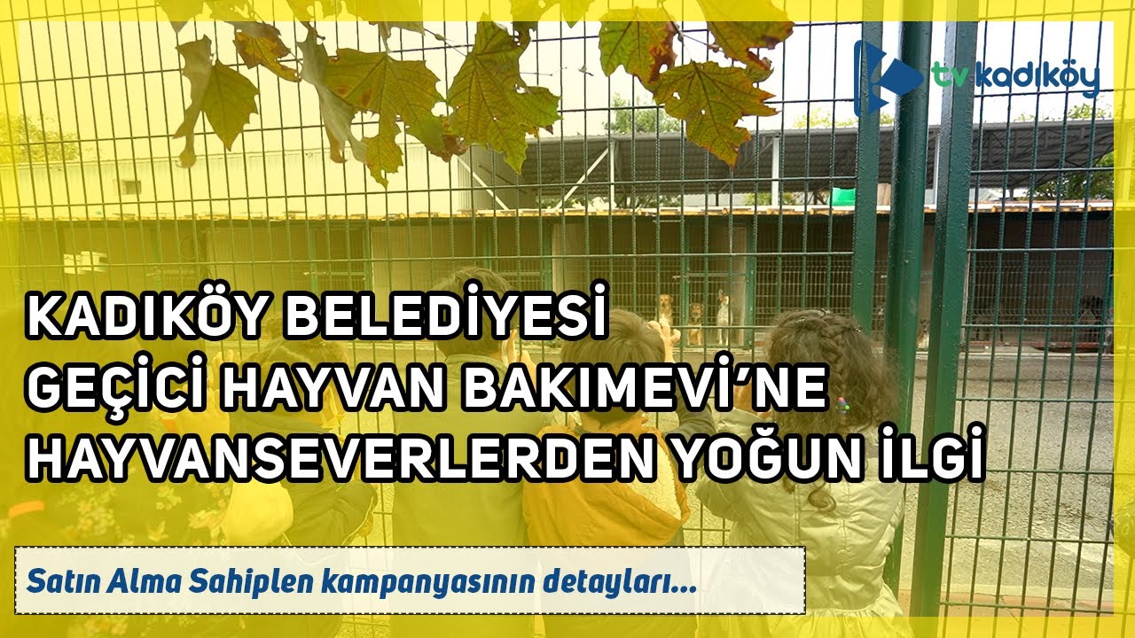 Kadıköy Belediyesi Geçici Hayvan Bakımevi bu hafta ziyaretçi akınına uğradı