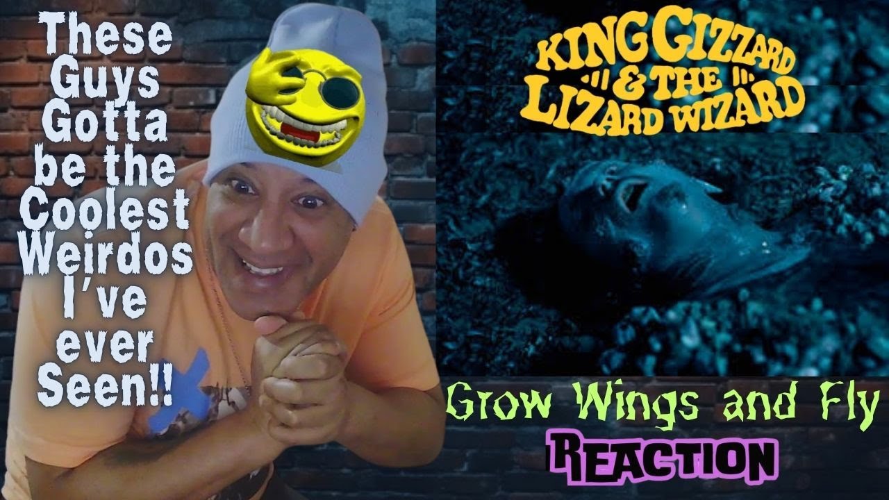 King Gizzard & The Lizard Wizard - Grow Wings and Fly MUSIC REACTION