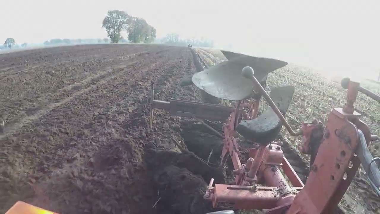 Oldtimer pflügen 2024(sound)/Fendt/Eicher/IHC/John Deere