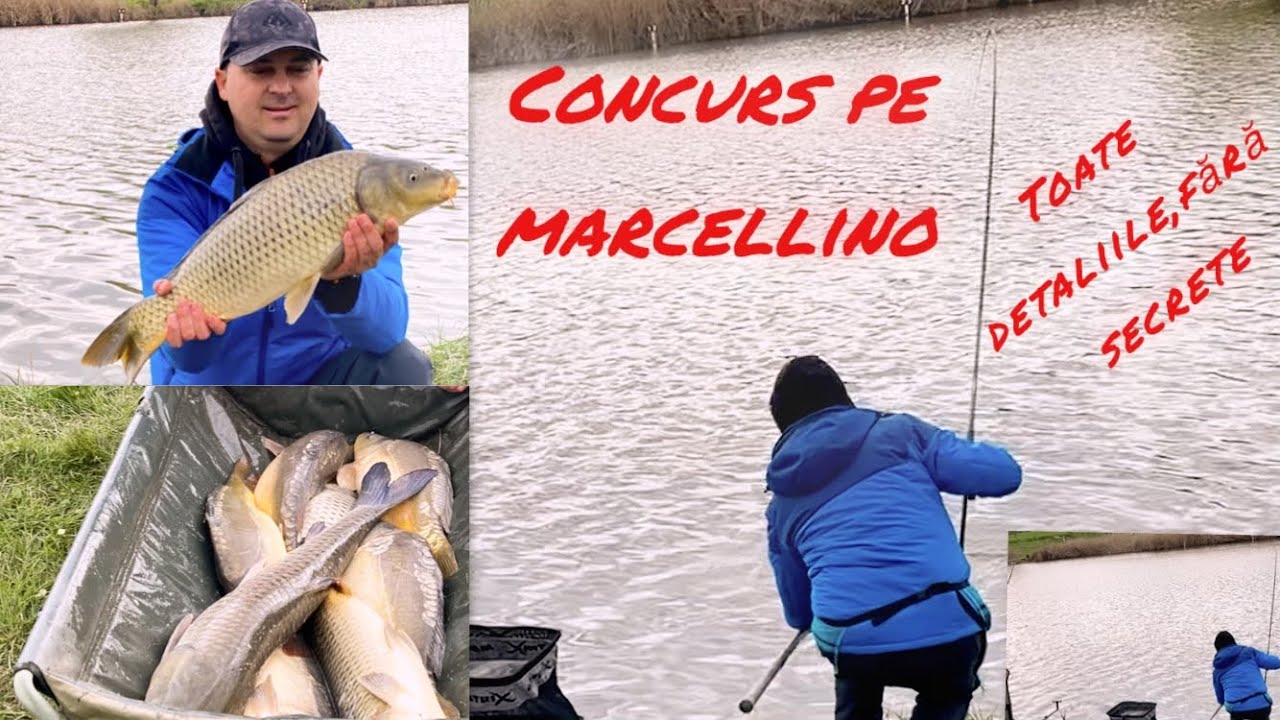 Pescuit La Method Feeder Pe Balta La Marcellino,2025 #fishing  #fish  #method
