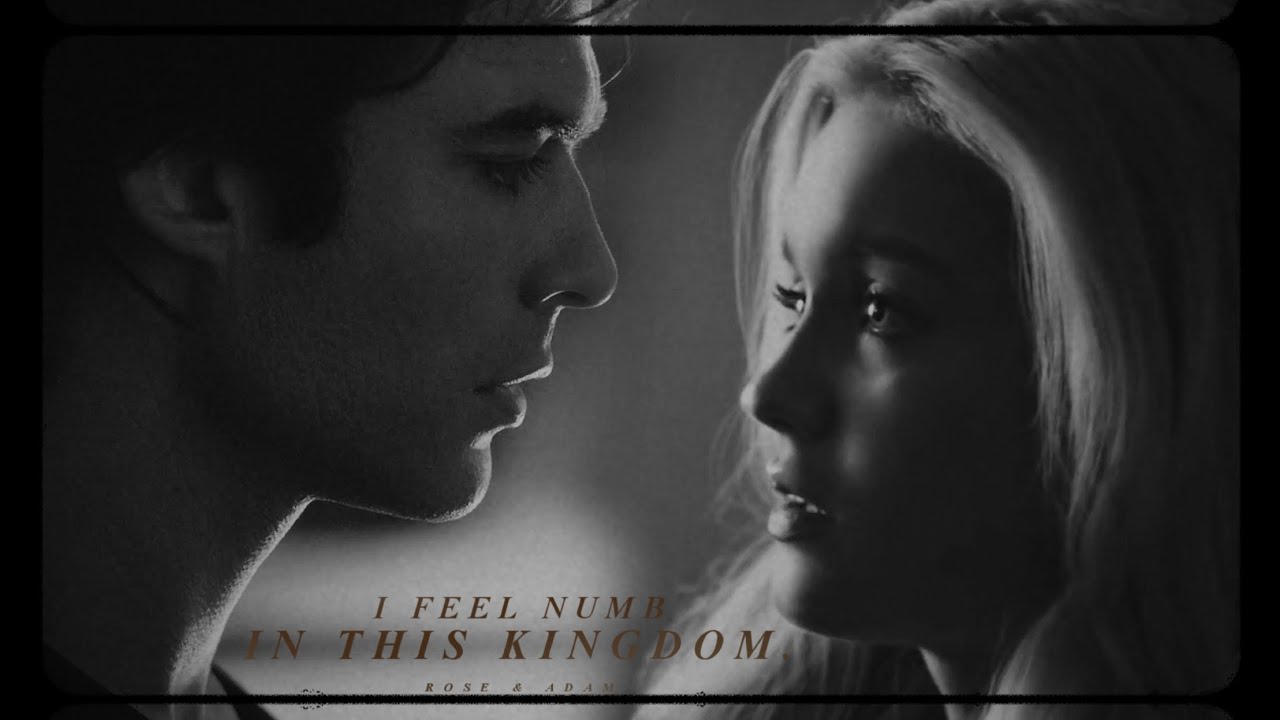 i feel numb in this kingdom.