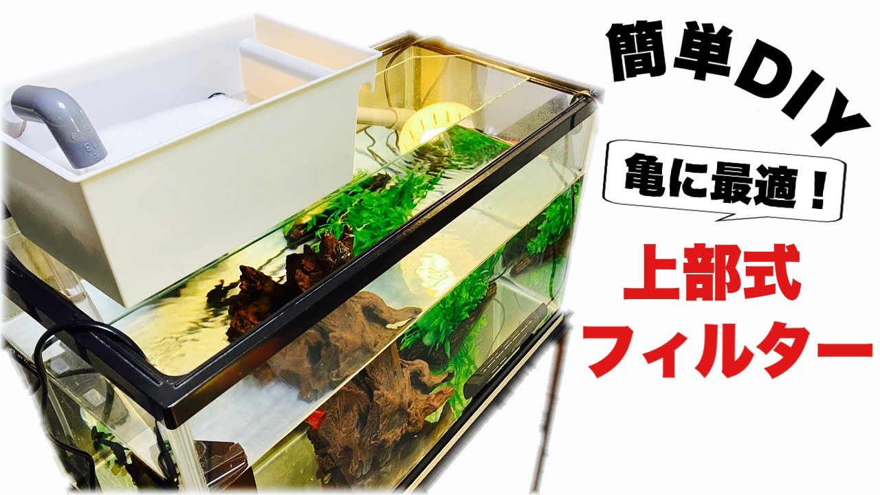 【フィルター自作】コンパクトで、水槽を邪魔しない上部フィルターを自作しました！メンテも楽で亀飼育に最適！【ミシシッピニオイガメ】