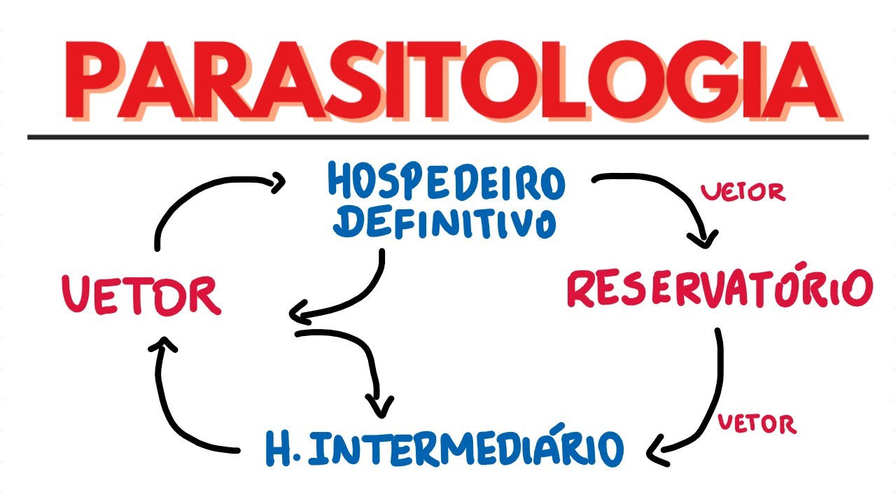 Parasitologia: Introdução (Hospedeiro Definitivo, Intermediário, Endoparasita, Vetor...)