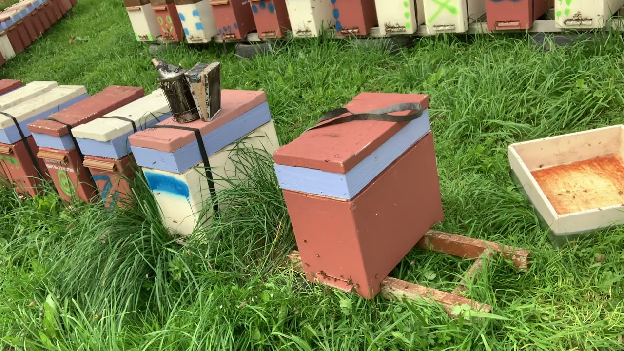 The Artificial Swarm: Use it to your advantage!!