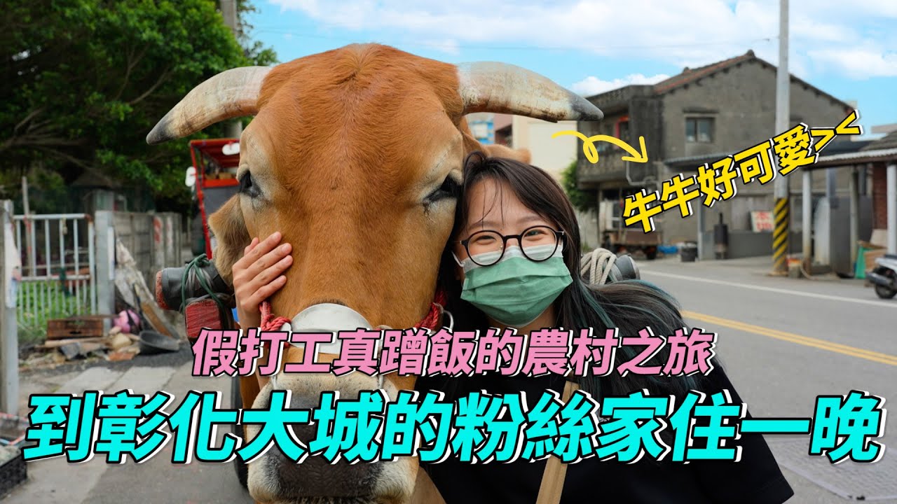來去彰化大城粉絲家住一晚！假打工真蹭飯的兩天一夜農村之旅～這次是真的偽裝別人家孫女了呢