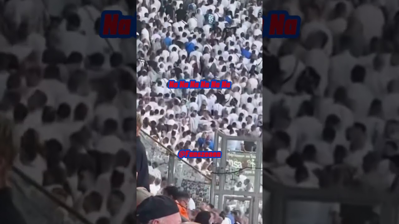 Hansa Rostock Ultras in Dresden #ultras #football #shorts #shortsfeed #yt #tiktok