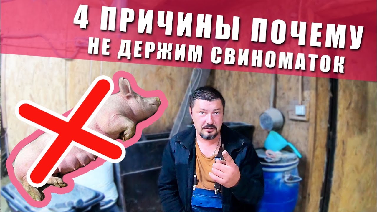 ПОЧЕМУ СВИНЬИ - ЭТО НЕ БИЗНЕС! (в нашем случае) 4 ПРИЧИНЫ ПОЧЕМУ НЕ ДЕРЖИМ СВИНОМАТОК. ХРЯК ЭДГАР