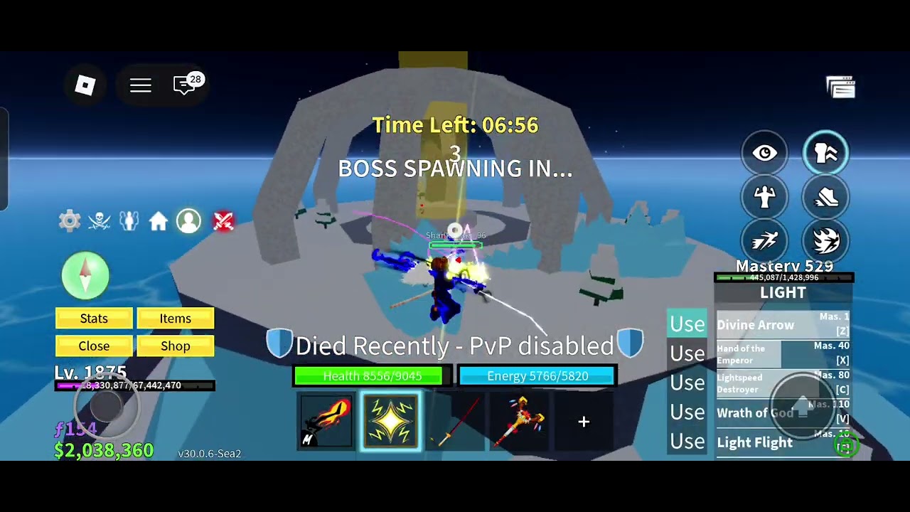 Doing raid with my light gang