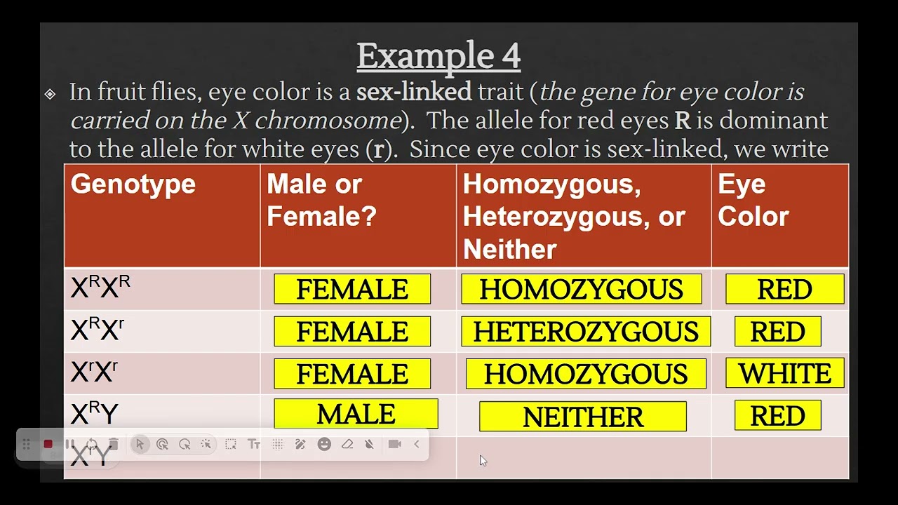 Copy of Notes 2017 Genetics & Heredity