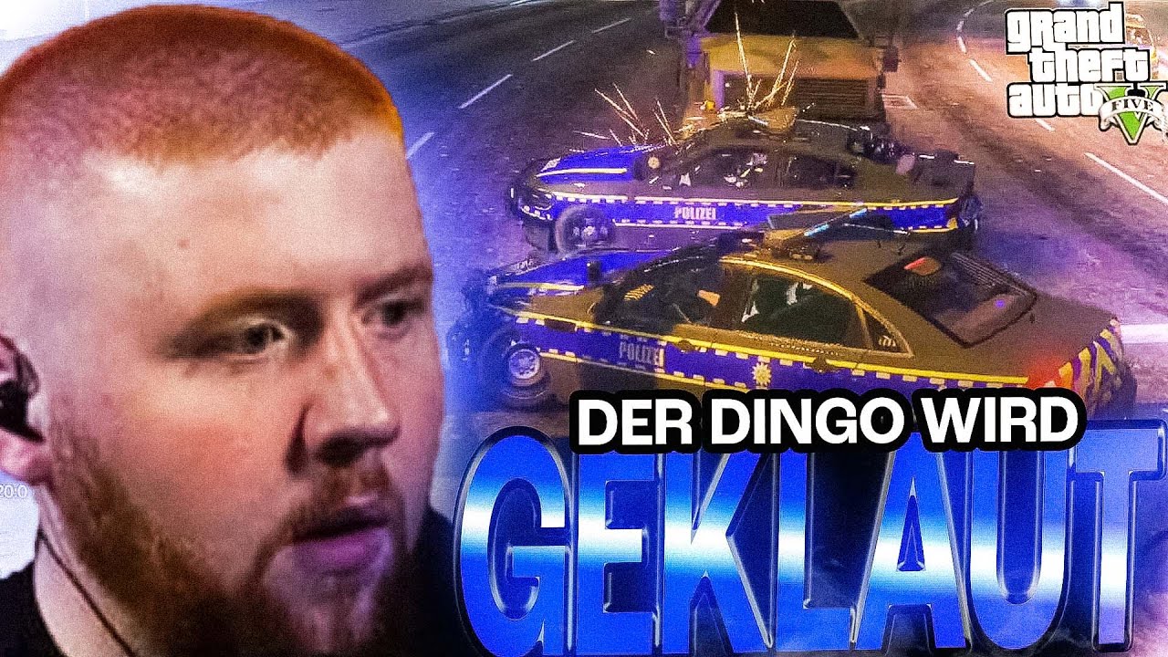 DINGO WURDE GEKLAUT! 😡 ~ Michael Hort | Tag #137