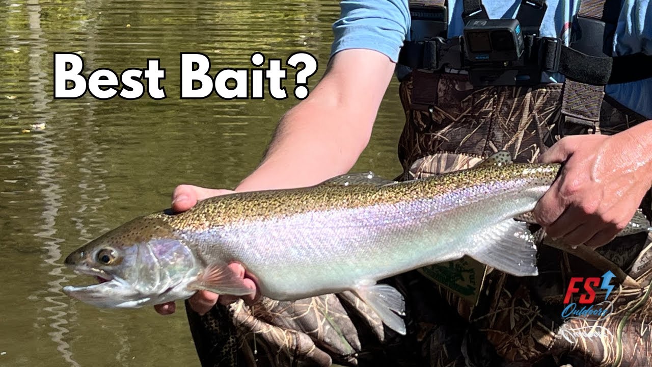 Early Season Steelhead Fishing with Nightcrawlers