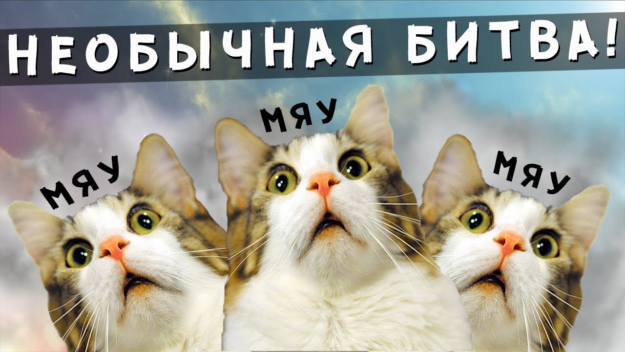 Герои 5 - ЭПИЧНЫЕ БИТВЫ: ШТО ПРОИСХОДИТ О_О Лига теней(Эрлинг) vs Гномы(Соргалл) Центральные навыки