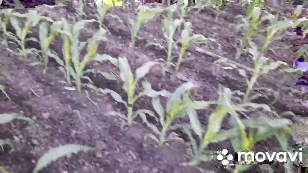 Запустили наш КРН із касом.Нові долота.