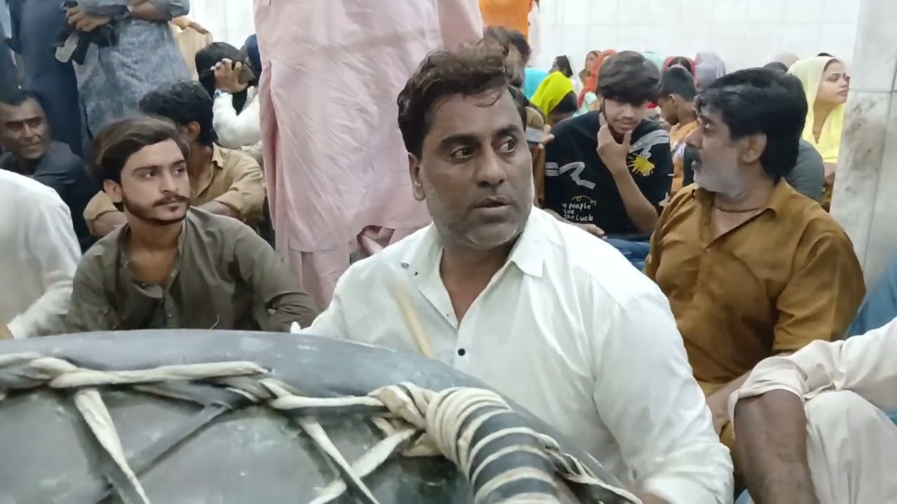 Dhamal Hazrat Lal shahbaz Qalandar Live Ihsan Ali Nagarchi sehwan