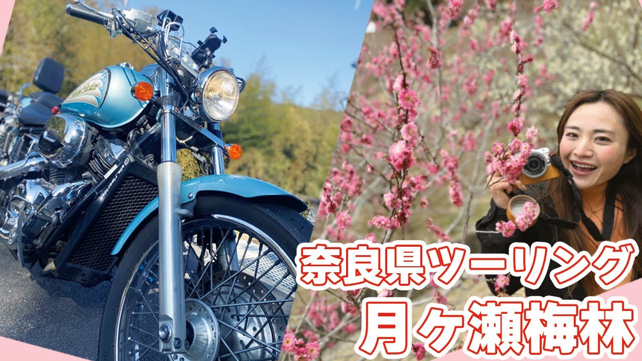 旅リポライダーELISの奈良県北和ツーリング/＃1 月ケ瀬梅林