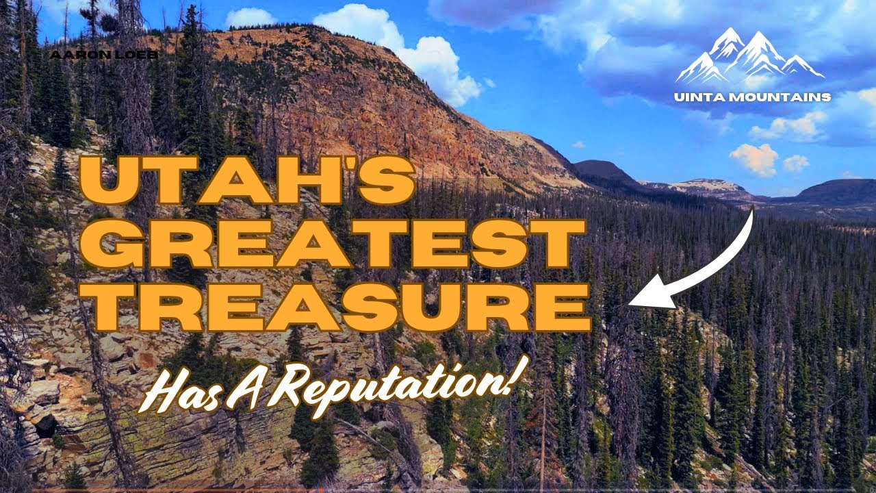 Exploring The Highest Mountain Range in Utah - On Spring Canyon Road
