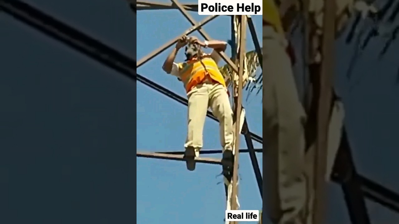 #shorts Police Helping Bird #crow #helping #policehelp #helpinghands #birds #Police