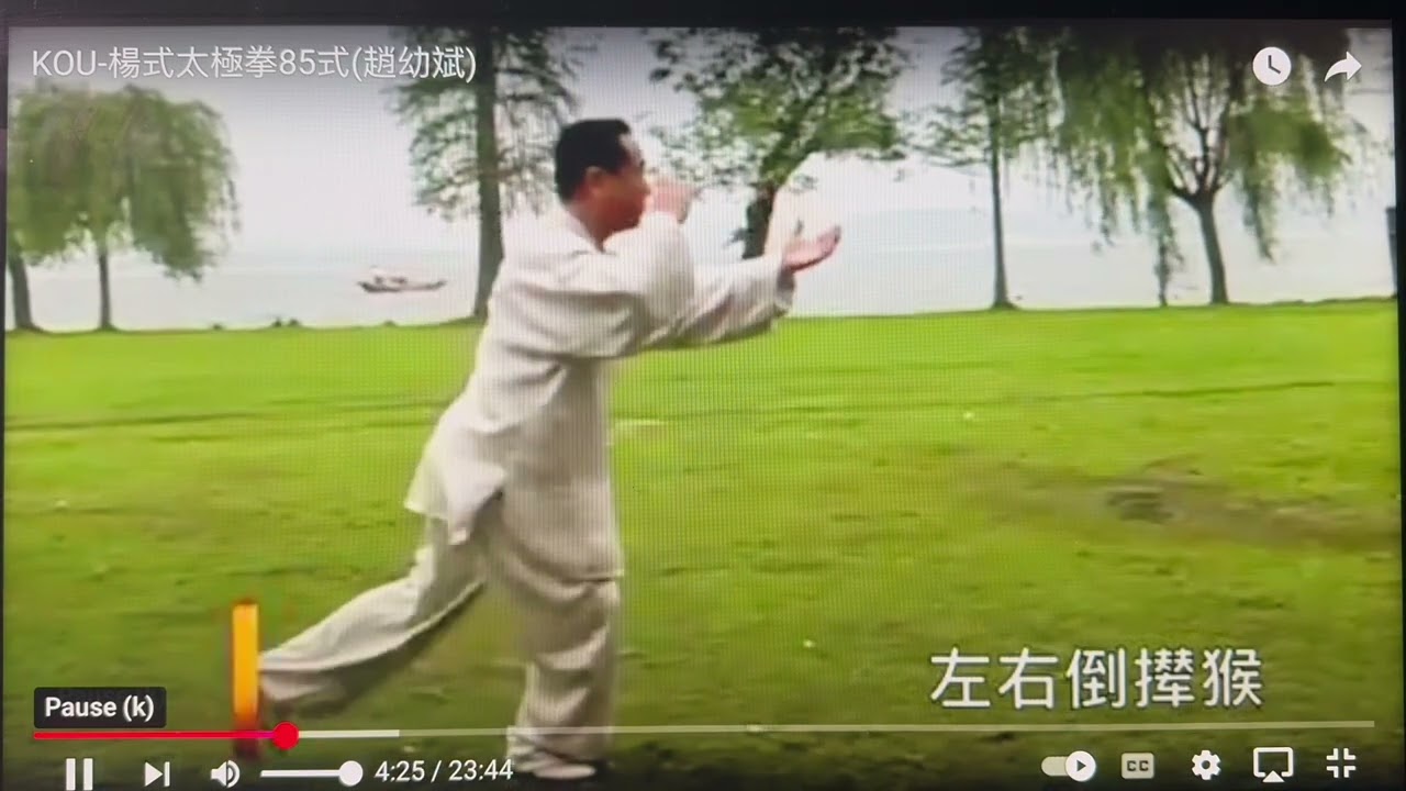Yang Taichi Quan 85(Front View) Step 1-29