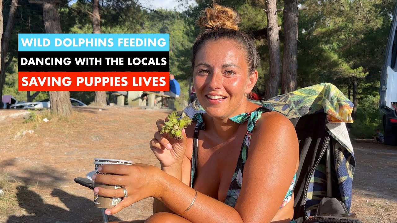 Van Life TURKEY - This Is Why You NEED To Visit The Black Sea Coast - Amasra To Sinop Coastal Road