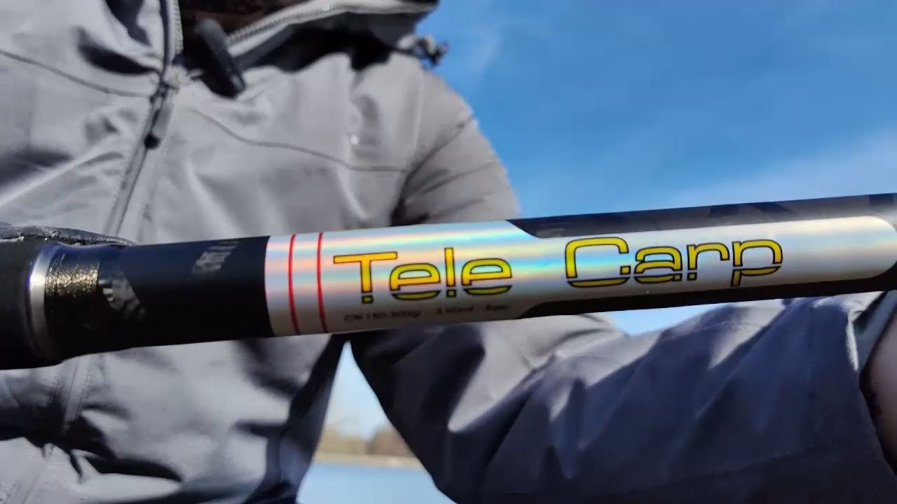 Dayo удилище карповое телескопическое TELECARP 390 телекарп