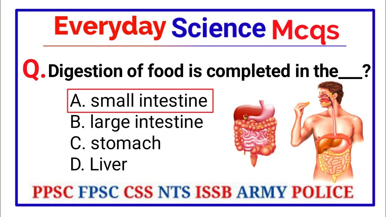Most Important Everyday Science MCQs For PPSC FPSC | General Science MCQs For PST CT NTS ETEA & PAEC