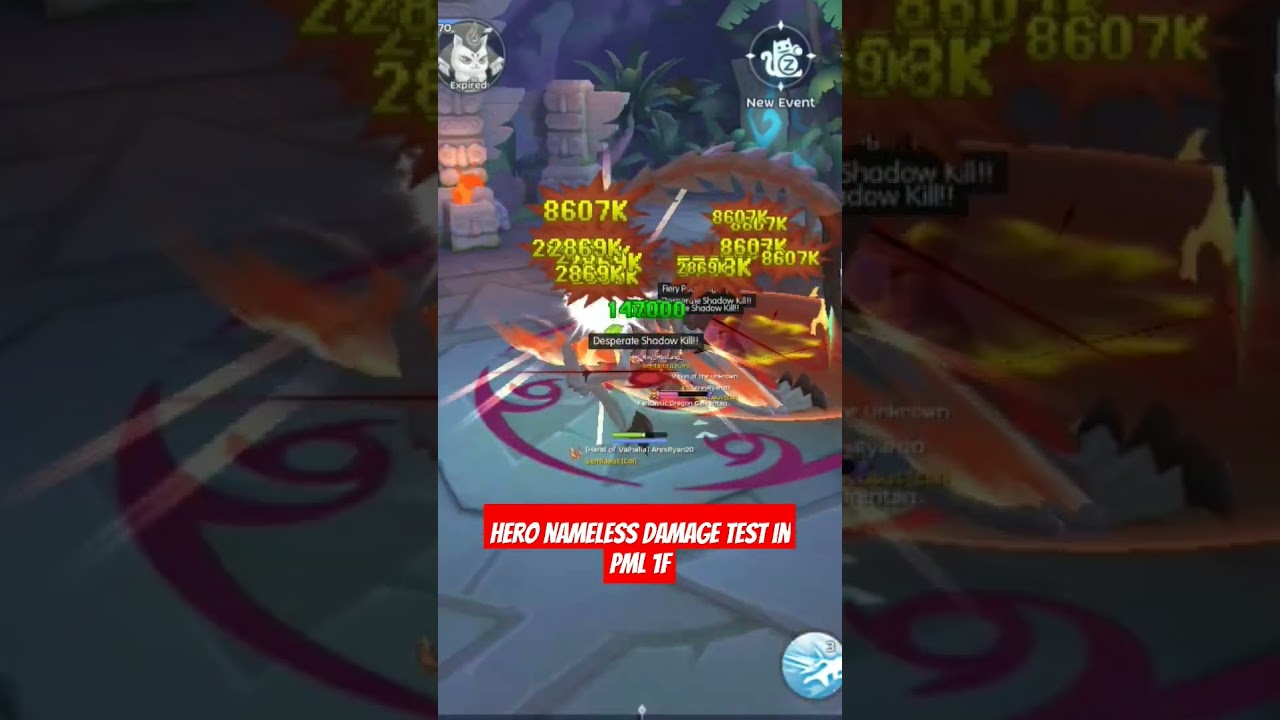 Hero Nameless One Fire Element PVE Build Damage Test in PML 1F 