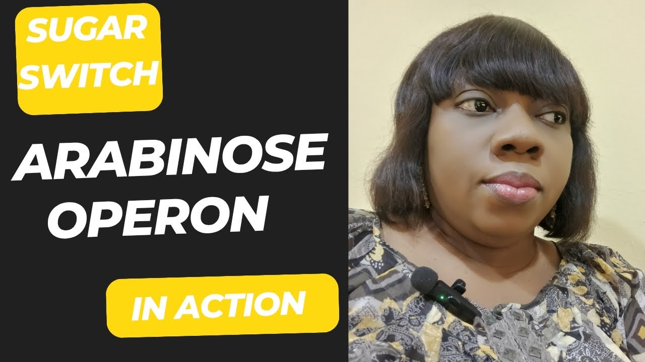 Arabinose Operon