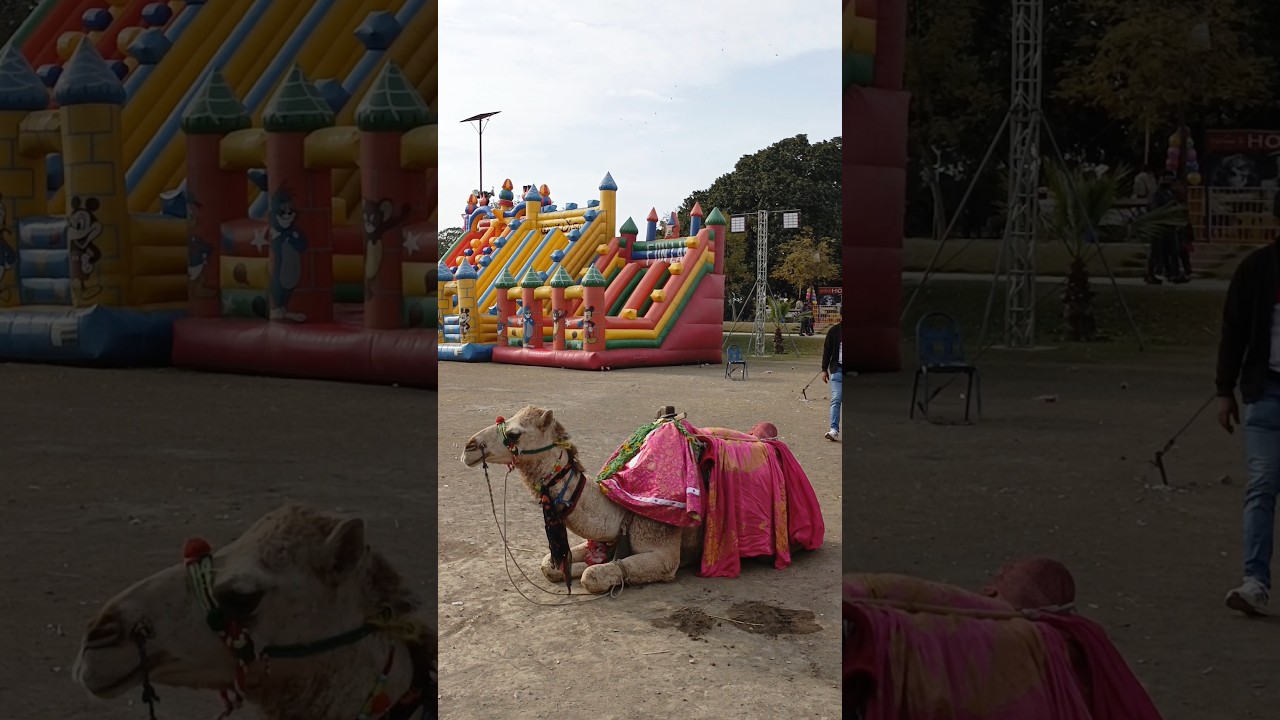 Lahore Reccourse Park #Shorts #viral