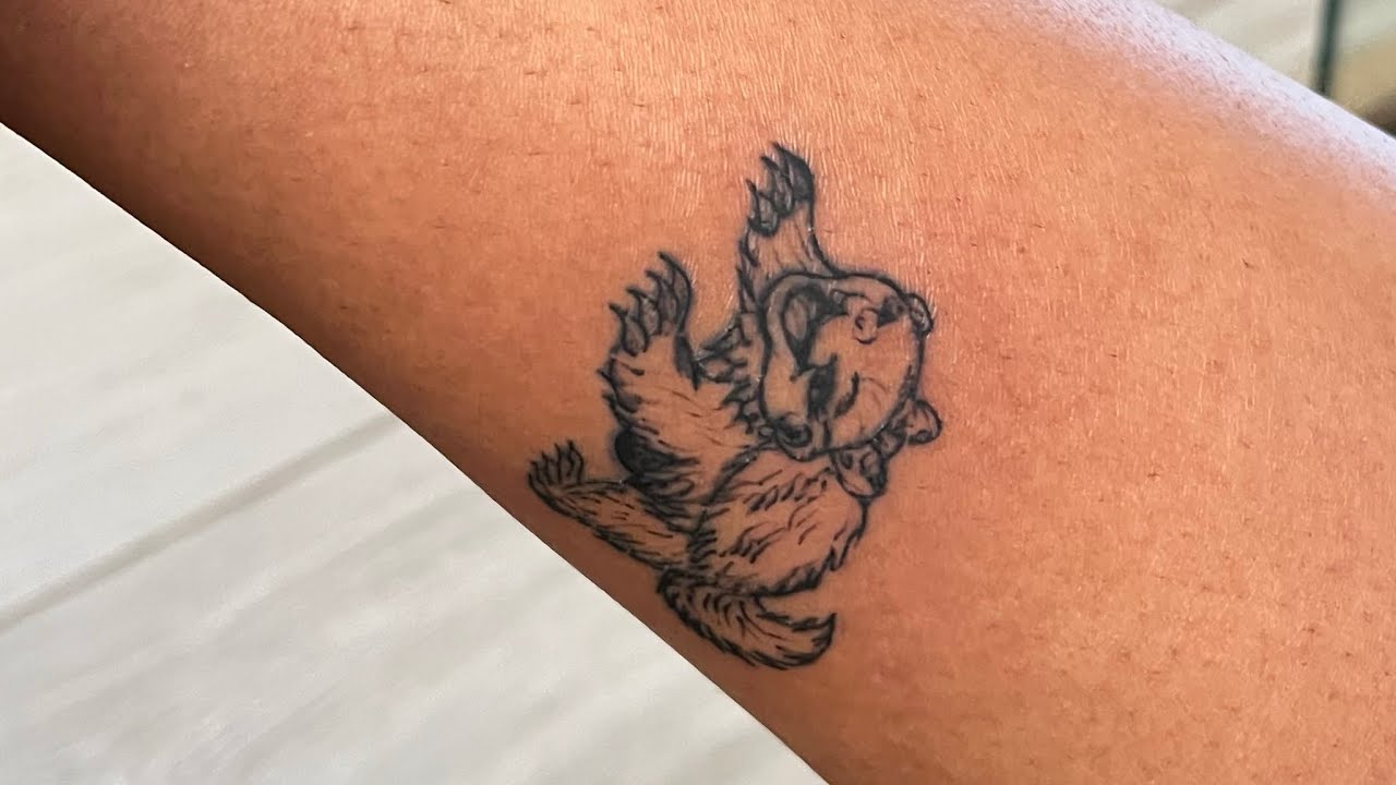Random Vlog: tattoo Nr 15 😝 + Valentine’s Day as a single hun 💌