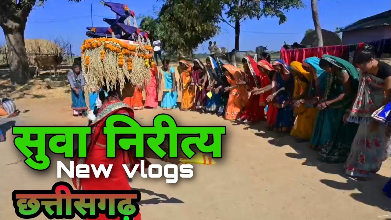 सुवा निरीत्य/छत्तीसगढ़ New vlogs