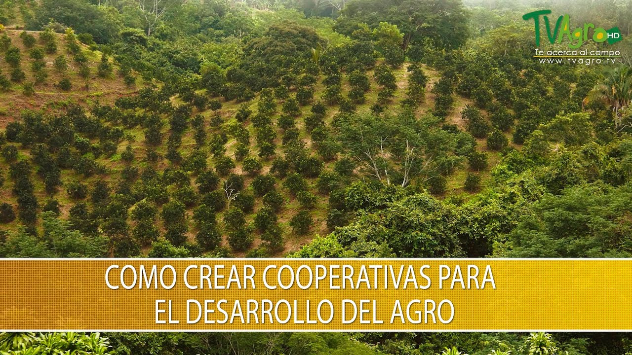 Como Crear Cooperativas para el Desarrollo del Agro - TvAgro por Juan Gonzalo Angel Restrepo