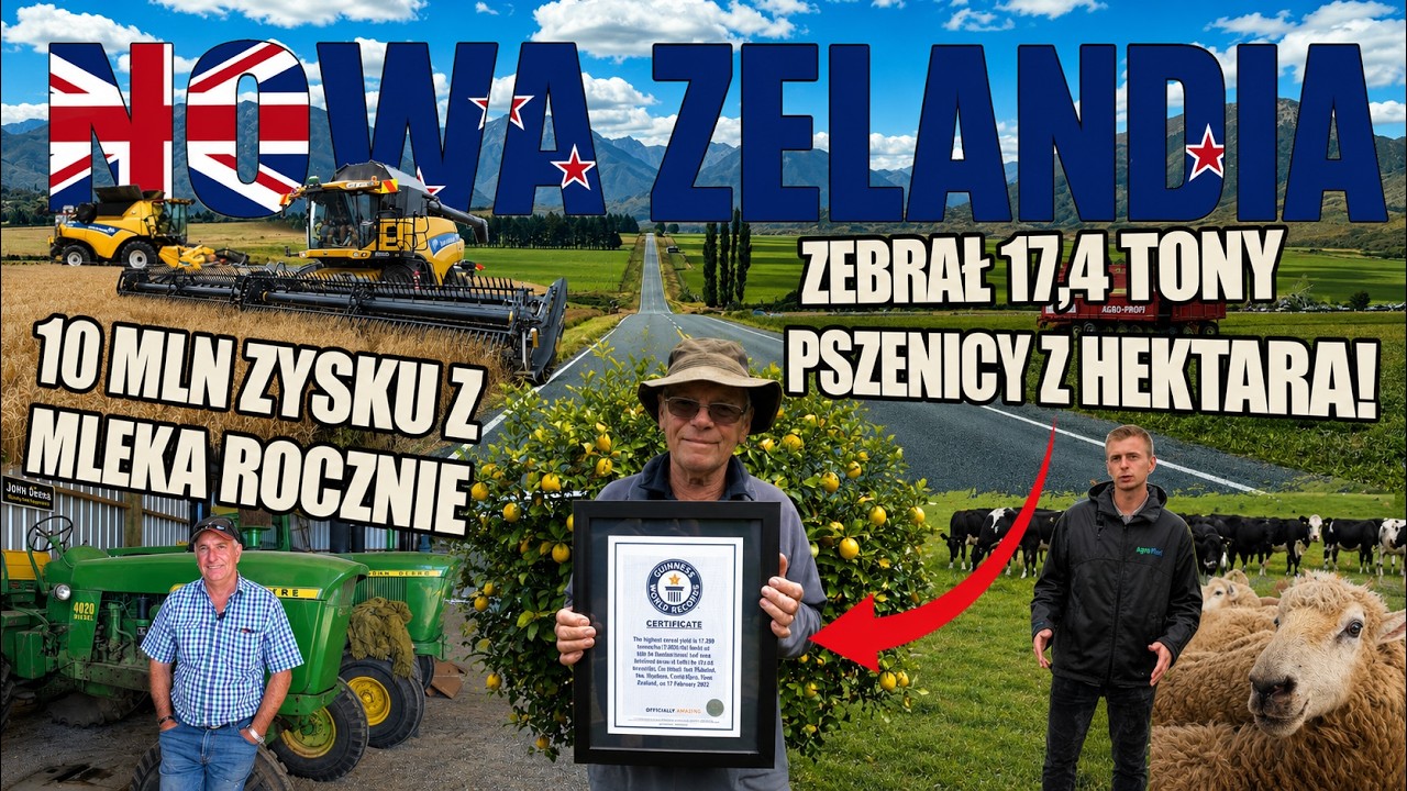 Rolnictwo Nowej Zelandii. Zarabiają miliony na mleku i biją rekordy świata plon&oacute;w zb&oacute;ż!