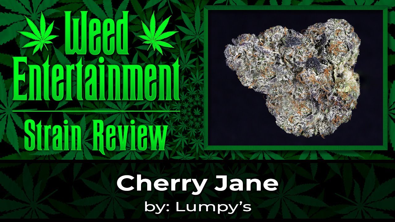 Cherry Jane - by Lumpy's - Sept 2023
