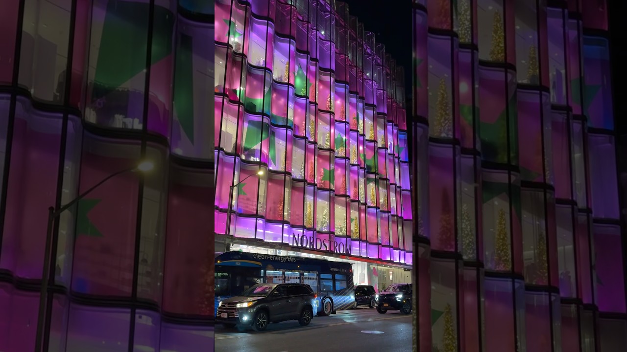 #fashion #moda #newyork ✨🍾🥂🫰🏽🥶❄️