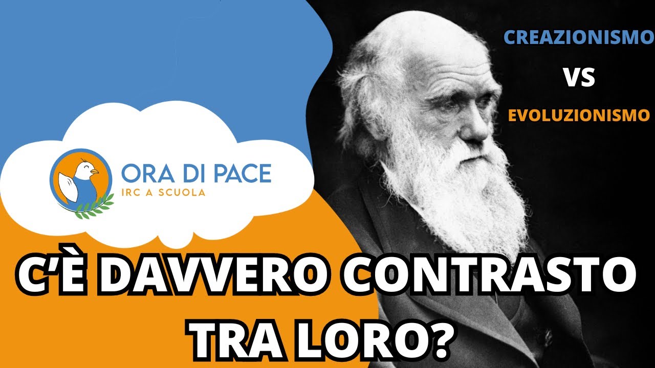 Creazionismo VS Evoluzionismo