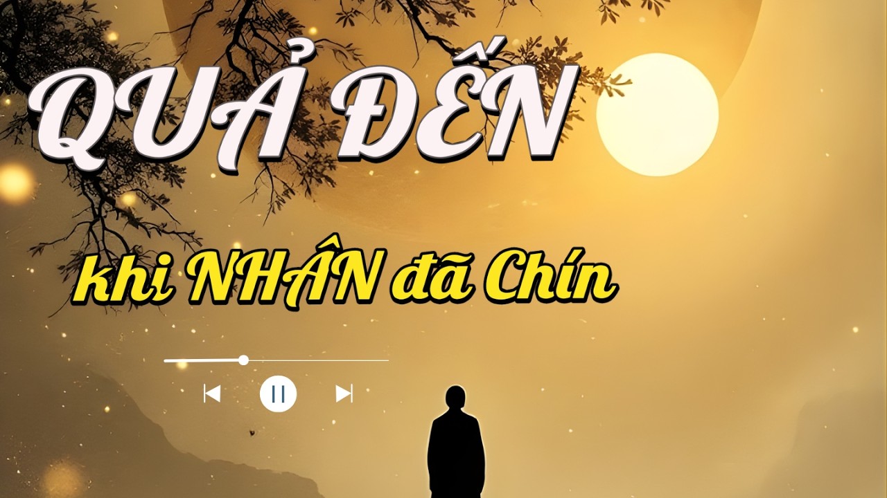 Không phải mọi chuyện đều hợp ý ta, nhưng mọi chuyện đều hợp nhân duyên