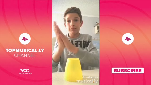 Cup Song Challenge - The Best musical.ly Compilation | LessKnown