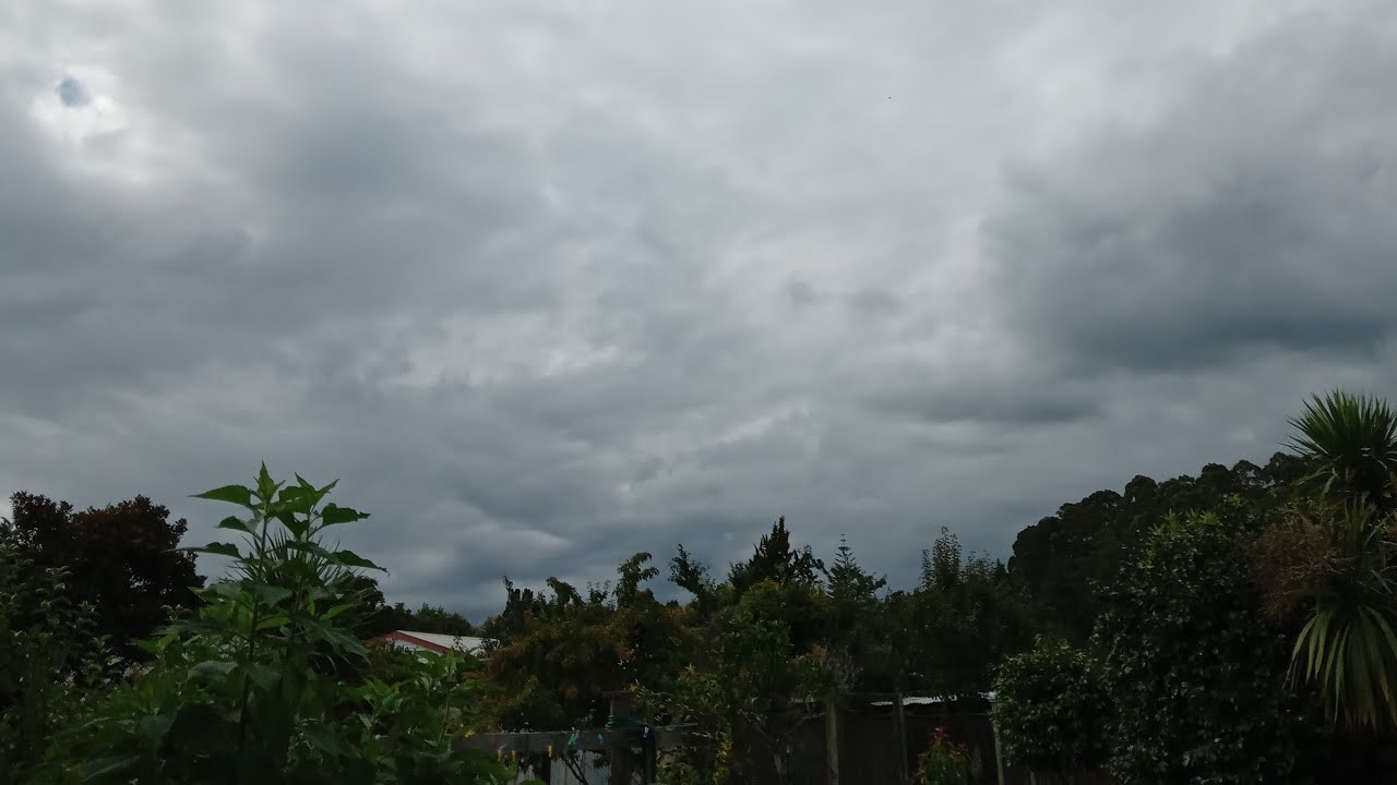 cloudy windy rainy weather   is live!