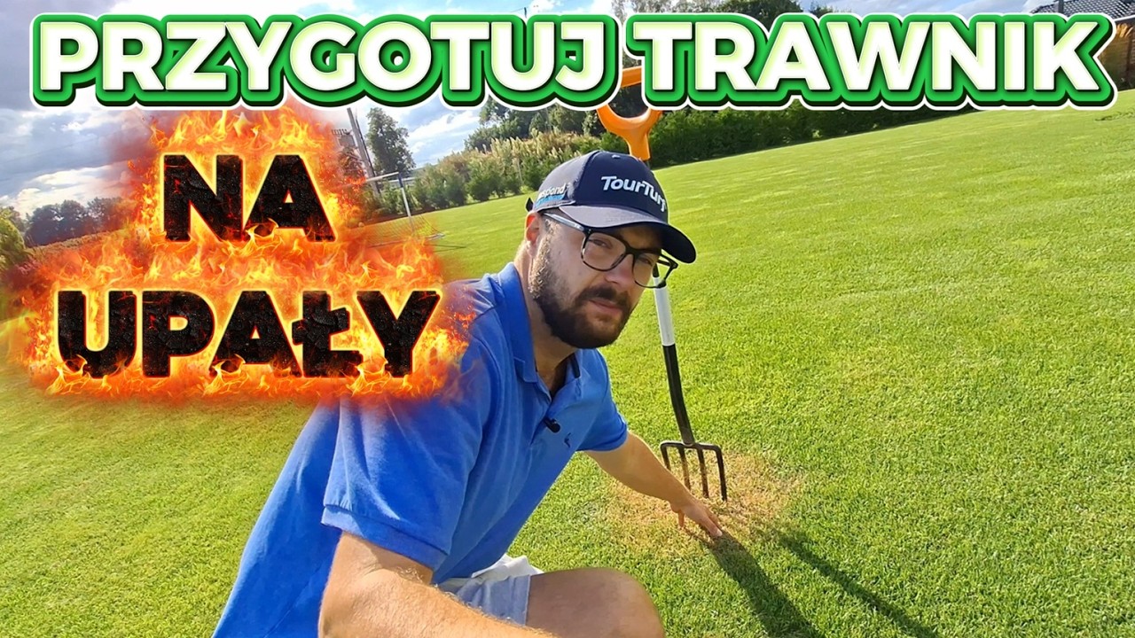 🌞 Przygotuj trawnik na UPAŁY! 4 zabiegi, kt&oacute;re uratują TW&Oacute;J TRAWNIK