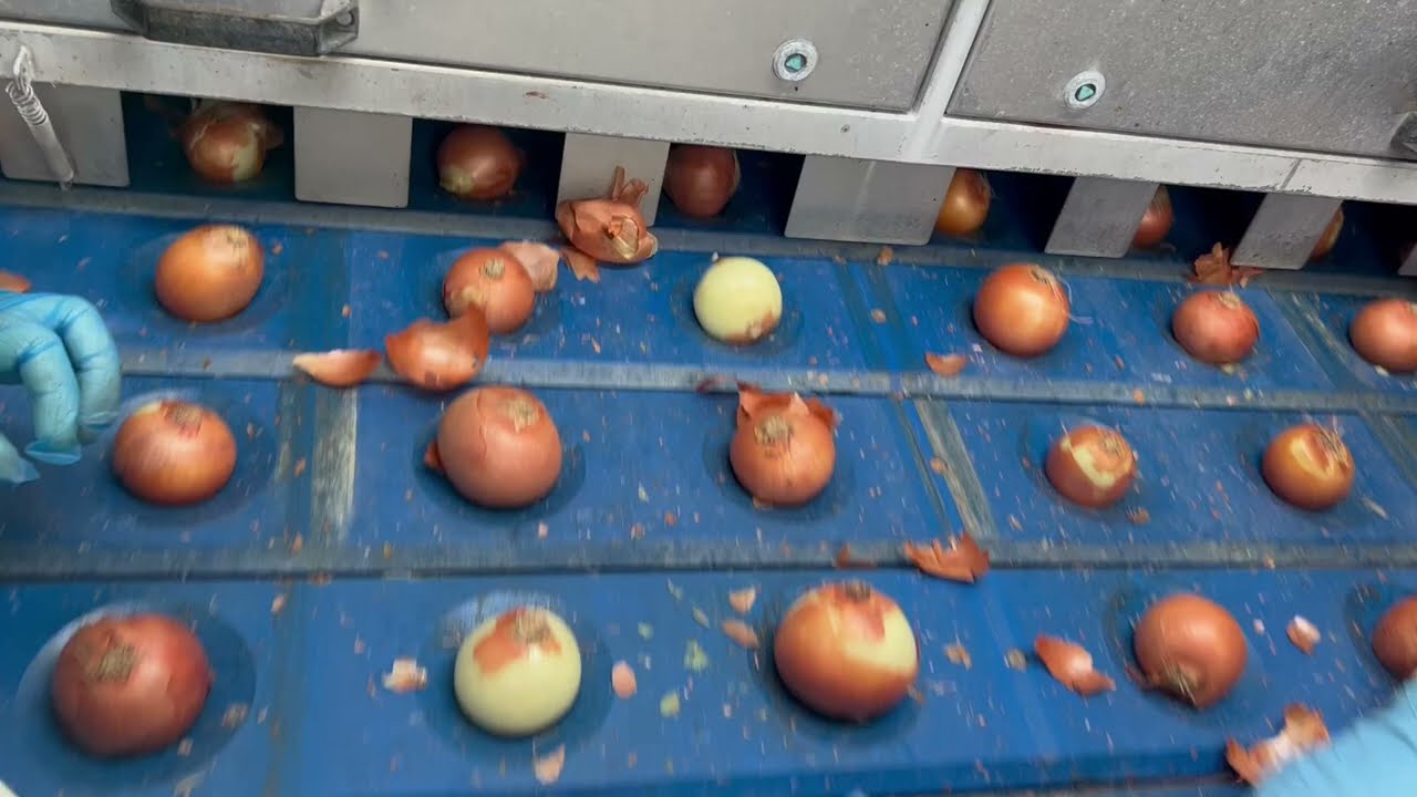 Onion Peeler 1