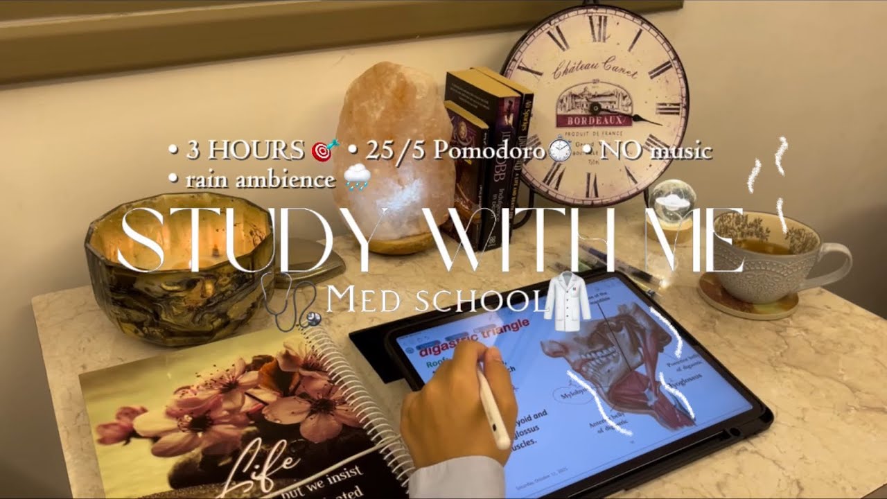 Study with me 3 hrs 🩺 | 25/5 pomodoro - rain ambience 🌧️ - no music 