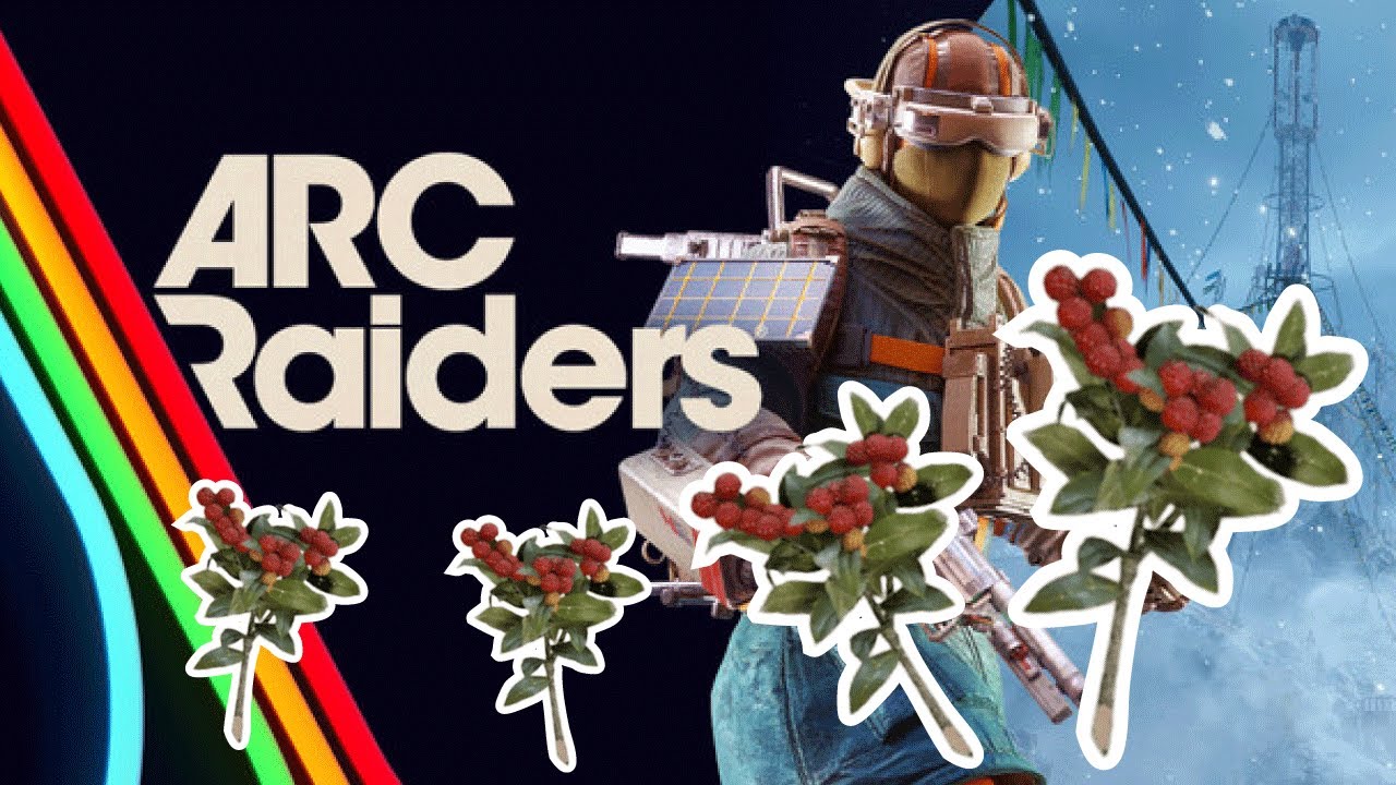 9. キャンドルベリー23/70個　1/2　#arcraiders