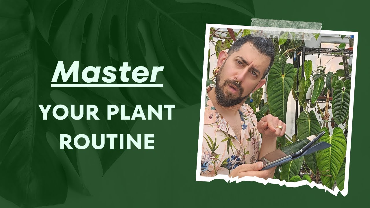 Revolutionize Your Plant Care: My Insider Hack for the Perfect Green Routine 🍃💡🗓️