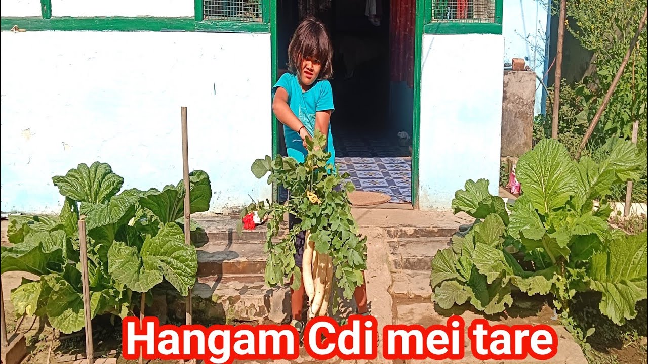 Yum Gi Engkholda Thajba Yensang Napi 🥦🍅🍆🥔🌰 @AjitSingha