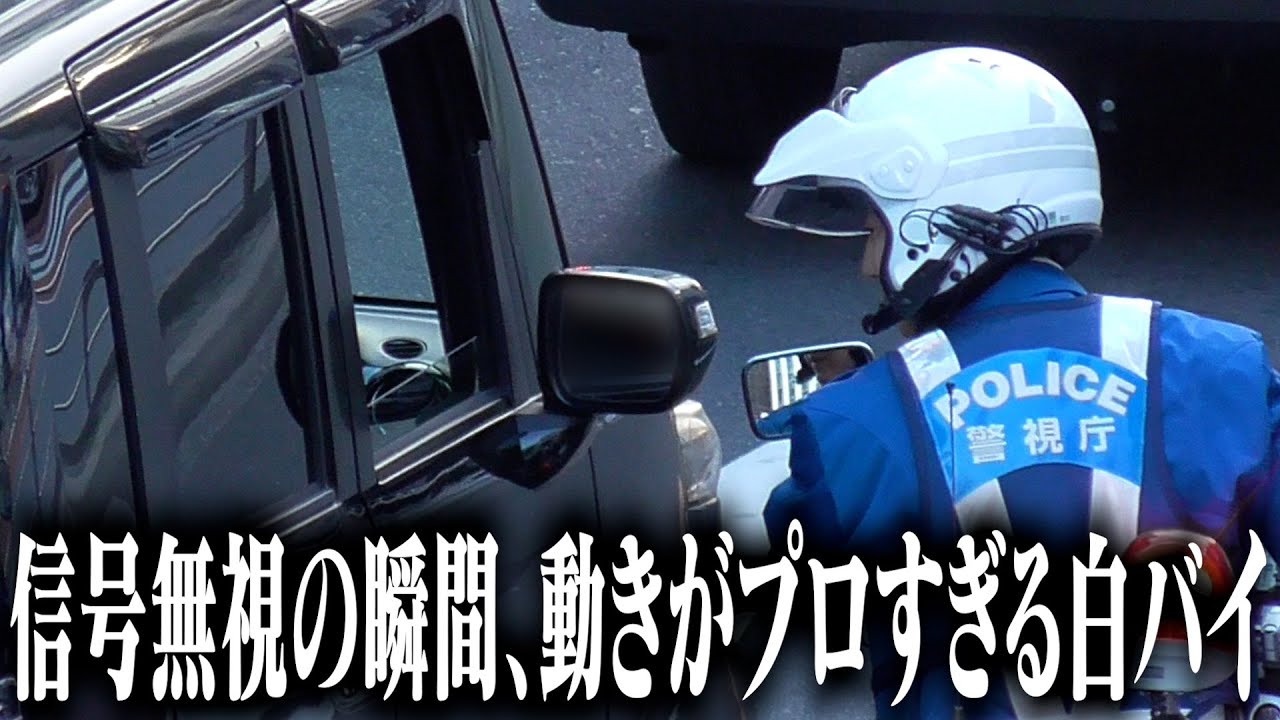 信号無視の瞬間、白バイの動きがプロすぎた！軽いノリの外国人違反者の末路...