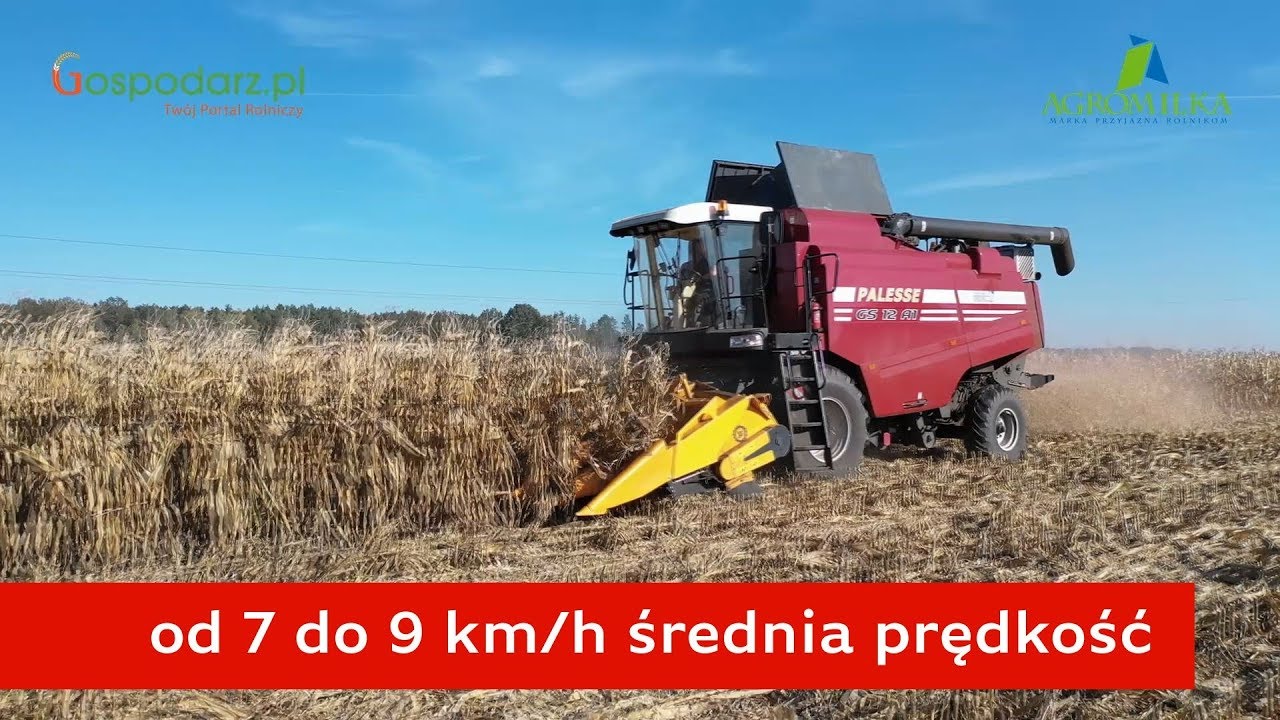 Gomselmash Palesse GS 12 A1 | kombajn rolniczy