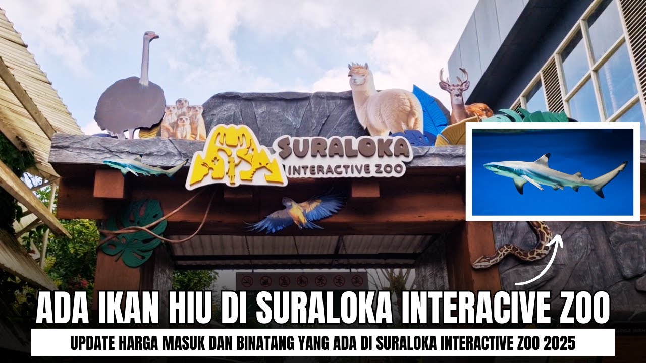 ADA IKAN HIUNYA !!! SURALOKA INTERACTIVE ZOO KALIURANG YOGYAKARTA UPDATE 2025