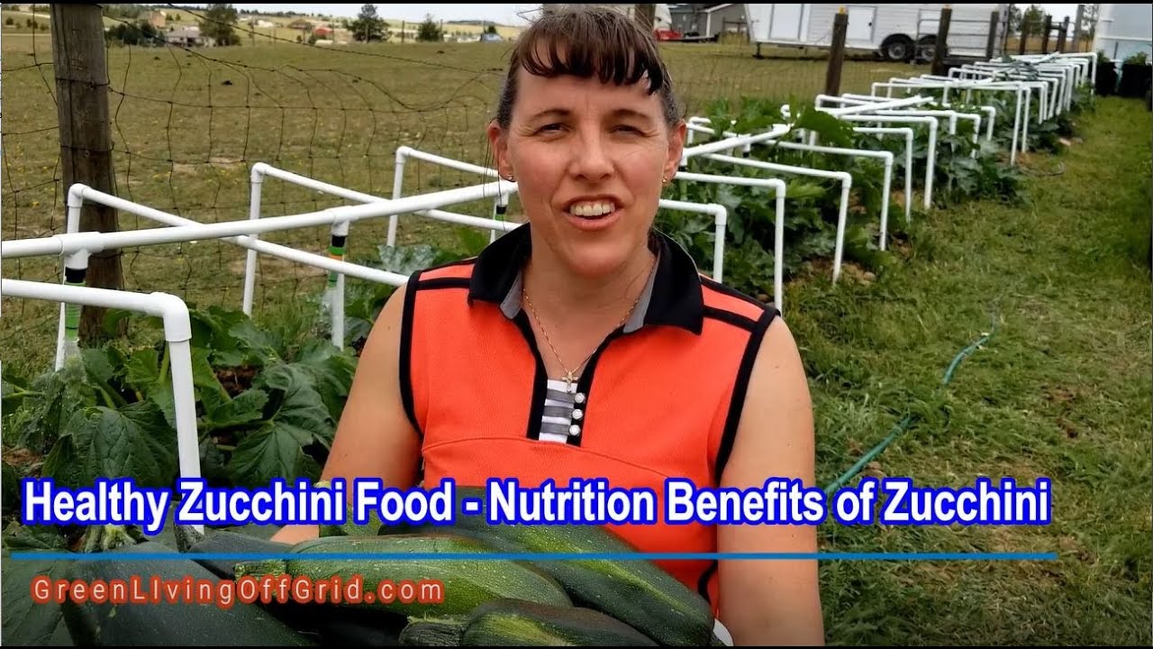 Healthy Zucchini Food - Nutrition Benefits of Zucchini